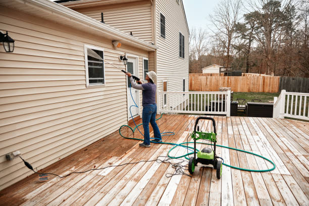 Best Roof Pressure Washing  in Sheldon, TX