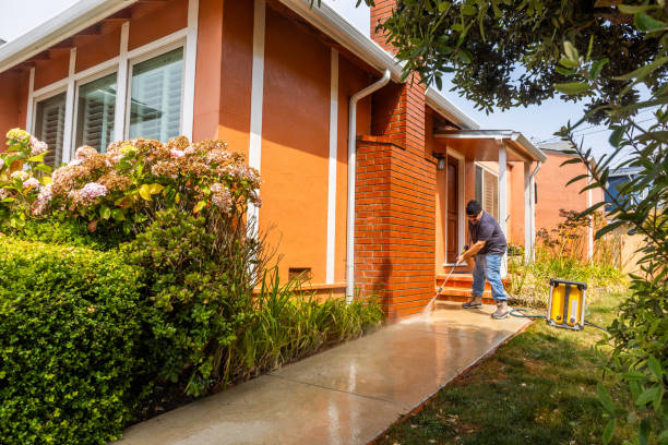 Best Commercial Building Pressure Washing  in Sheldon, TX