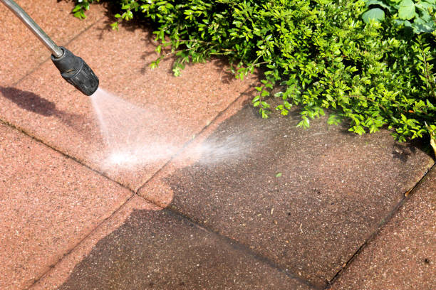 Best Affordable Power Washing  in Sheldon, TX